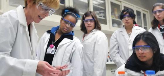 Gendered Journeys: the trajectories of STEM students and graduates through higher education and into