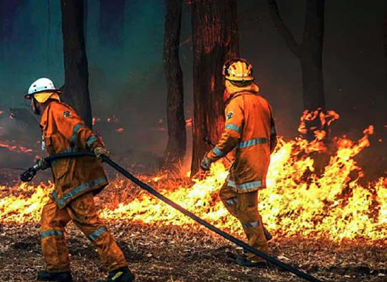 Bushfire recovery, Indigenous adult literacy, retraining for older drivers and more: Quest magazine 