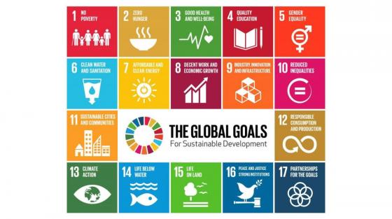 HER 2020 | Sustainable Development Goals: Their potential and relevance for higher education policy 