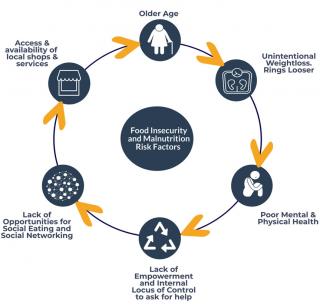 Cycle of Risk for Undernutrition and Household Food Insecurity